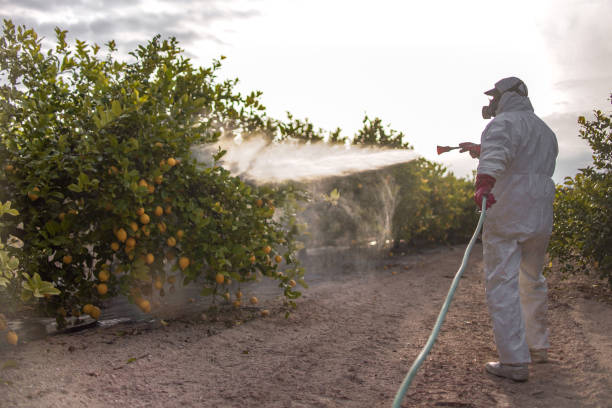 Pest Control for Restaurants in Monroe Manor, NJ